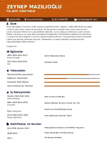 Felsefe Öğretmeni CV Örnekleri cv indir